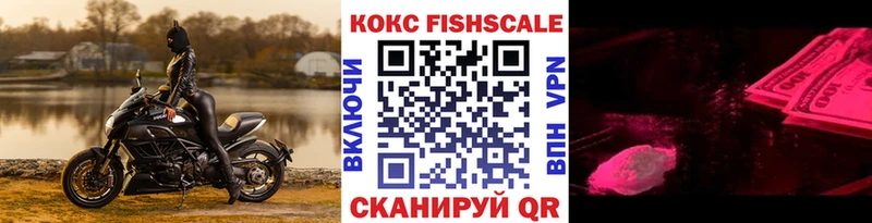 как найти закладки  Петухово  КОКАИН Эквадор 