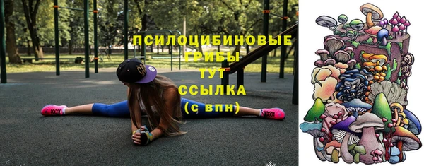 ECSTASY Заводоуковск