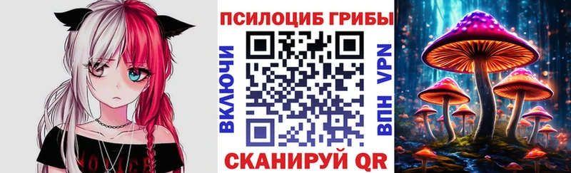 Псилоцибиновые грибы Psilocybine cubensis Петухово